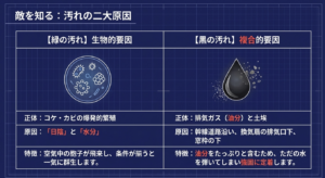 日陰と水分による緑のコケの爆発的繁殖や、油分を含む排気ガスと土埃による強固な黒ずみなど、外壁汚れの二大原因